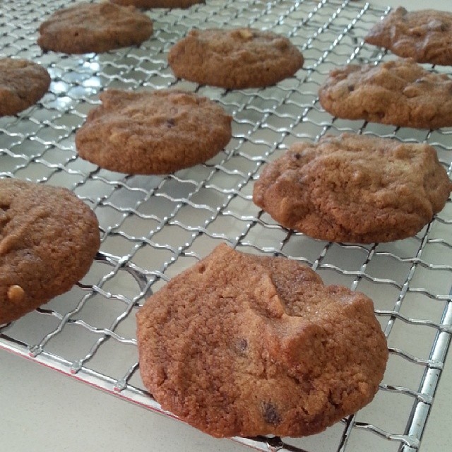 supposed clones of the FA choc choc chip cookies